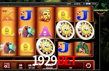 Interface Premium 1929bet